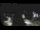 Webcam in Colonia, 1.7 km