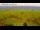 Webcam in Søby (Ærø), 20.7 mi away