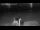 Webcam in Søby (Ærø), 19.8 mi away