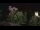 Webcam in Farmers Branch, Texas, 114.2 mi away
