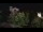 Webcam in Farmers Branch, Texas, 46.5 km entfernt
