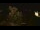 Webcam in Farmers Branch, Texas, 14.8 mi away