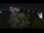 Webcam in Farmers Branch, Texas, 17.7 km