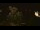Webcam in Farmers Branch, Texas, 42.8 mi away