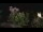 Webcam in Farmers Branch, Texas, 27.8 mi away