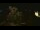 Webcam in Farmers Branch, Texas, 82.4 km entfernt