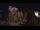 Webcam in Farmers Branch, Texas, 7.6 km