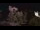 Webcam in Farmers Branch, Texas, 100.1 mi away