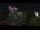 Webcam in Farmers Branch, Texas, 256.5 km