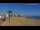 Webcam in Peñíscola, 27.7 km entfernt