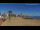 Webcam in Peñíscola, 0.8 km entfernt