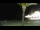 Webcam in Peñíscola, 51.6 km entfernt