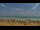 Webcam in Peñíscola, 2.7 mi away