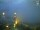 Webcam in Real de Catorce, 507.6 km