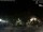 Webcam in Bernal, 167 mi away
