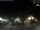 Webcam in Bernal, 273.3 mi away