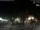 Webcam in Bernal, 5.5 mi away