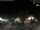 Webcam in Bernal, 55.3 mi away
