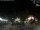 Webcam in Bernal, 240.5 mi away