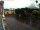 Webcam in Bernal, 165.2 mi away