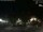 Webcam in Bernal, 167.1 mi away
