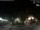 Webcam in Bernal, 353.4 km entfernt
