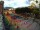 Webcam in Bernal, 185.3 km entfernt