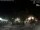 Webcam in Bernal, 433.1 km