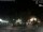 Webcam in Bernal, 431.3 km