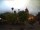 Webcam in Bernal, 190.8 mi away