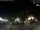 Webcam in Bernal, 336.9 km