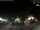 Webcam in Bernal, 240.3 km