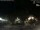Webcam in Bernal, 353.4 km