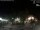 Webcam in Bernal, 428.2 km