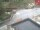 Webcam in Kelchsau, 6.8 km