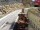 Webcam in Vent, 3.4 mi away