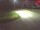 Webcam in Niederau, 7.5 km