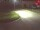 Webcam in Niederau, 0 km