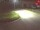 Webcam in Niederau, 0 km