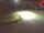 Webcam in Niederau, 3.2 mi away