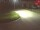 Webcam in Niederau, 0 mi away