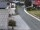 Webcam in Alpbach, 3.5 mi away