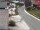 Webcam in Alpbach, 0.1 mi away