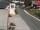 Webcam in Alpbach, 2.1 km