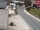 Webcam in Alpbach, 0.1 mi away