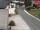 Webcam in Alpbach, 0 km entfernt