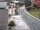 Webcam in Alpbach, 3.5 mi away