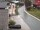Webcam in Alpbach, 0 km
