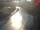 Webcam in Landl, 0 km