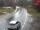Webcam in Landl, 7.9 km entfernt